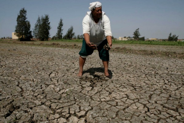 المساحات الزراعية تتآكل.. مصر مهددة بفقدان 30% من إنتاجها الغذائي 